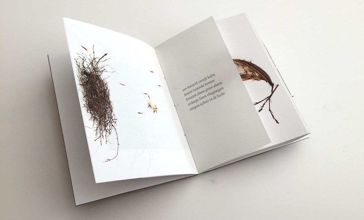 Eigen publicatie > In[te]gratie